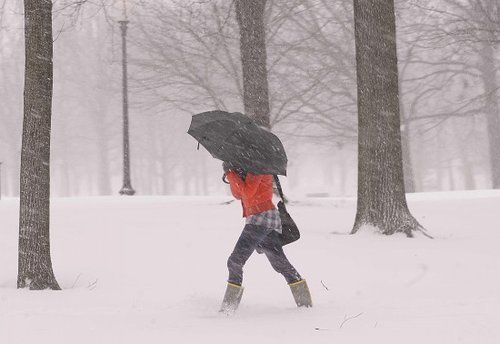 暴風(fēng)雪襲擊美國(guó)東海岸 積雪將達(dá)50厘米