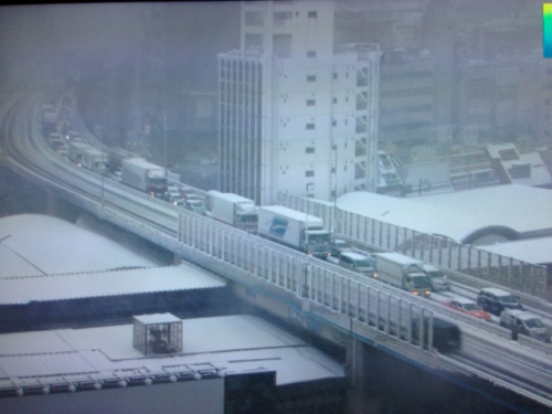 日本東京首都圈因暴風(fēng)雪交通大亂列車(chē)停駛（圖）