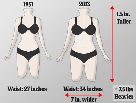 現(xiàn)今英國女性的平均腰圍已從1951年時的68厘米上升到86厘米，而胸圍和臀圍并沒有相應(yīng)增加，因此體型更接近于長方形