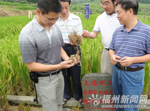 福州新聞網