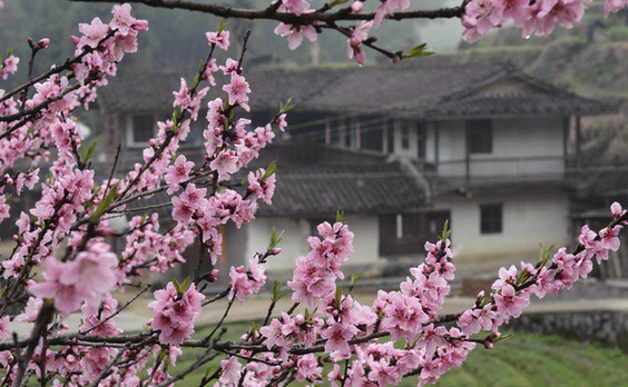 福建獲批建設(shè)全國首個生態(tài)文明先行示范區(qū)