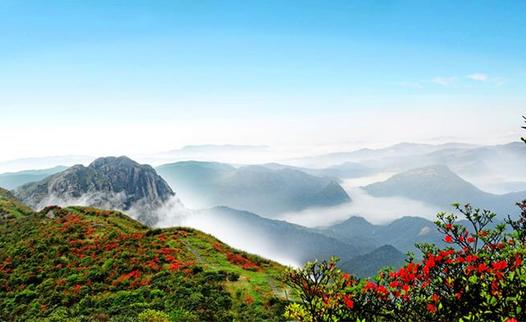 全國網(wǎng)媒記者走進(jìn)“南國氧吧”姑婆山 感受綠色原生態(tài)（組圖）