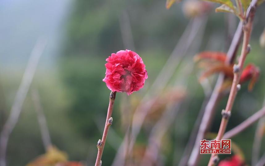 走進(jìn)莆田涵江東大村 享受“偷得浮生半日閑”