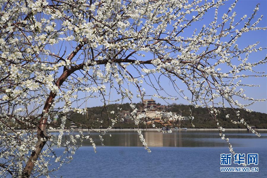 #（社會(huì)）（2）頤和園春光醉游人