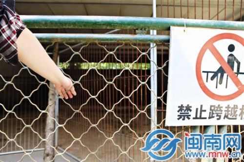 漳州3歲童動(dòng)物園看野豬小指被吞食 園方：愿賠償