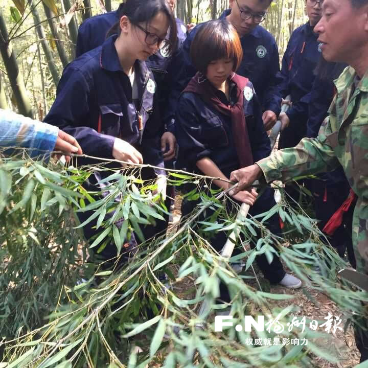 臺灣大學生來榕學習飼養(yǎng)熊貓